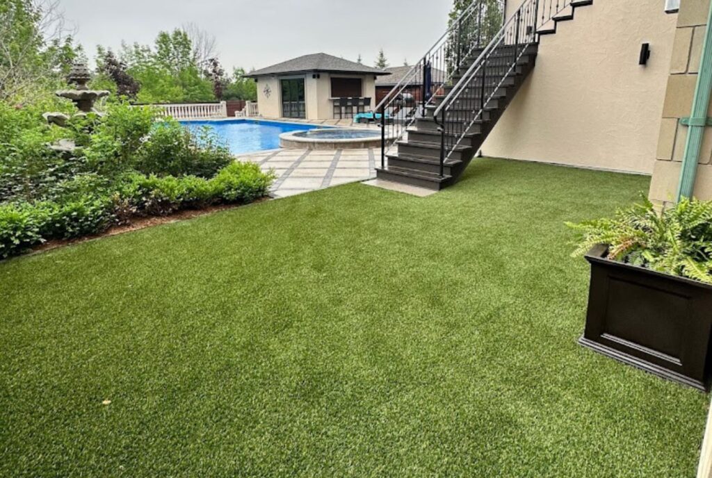 backyard turf 2